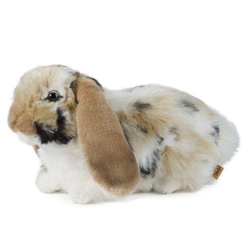 Living Nature Brown Dutch Lop Ear Rabbit