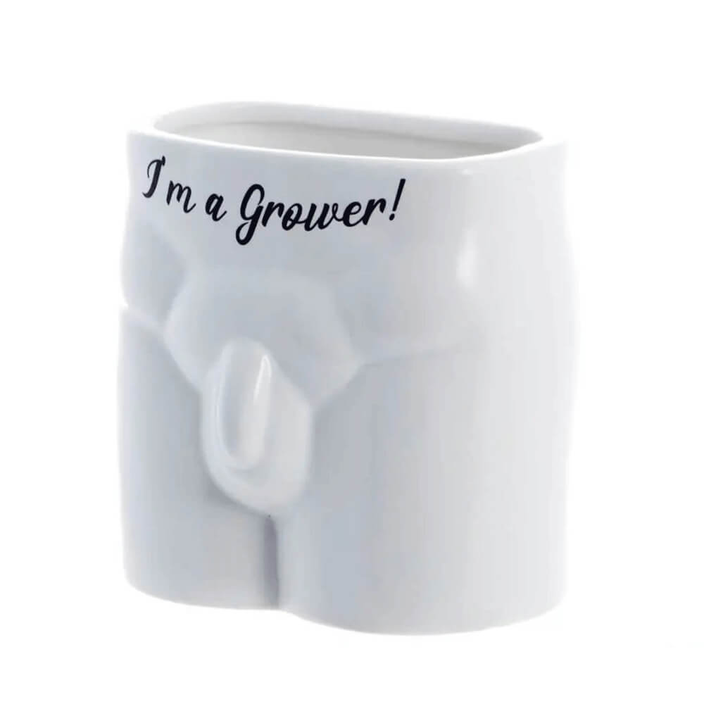 いくつかの植物を置いてください!植物ポット